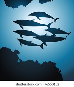 Jamb of dolphins against sun rays and reeves