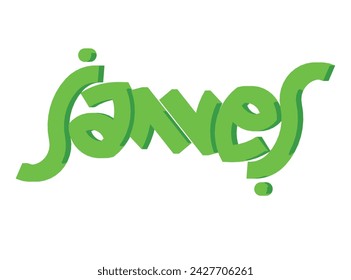 James Text 3D Rendering Typography Graffiti Logo Symbol, suitable for use on clothing t shirt, jewelry necklaces, birthday souvenirs, engagements, weddings