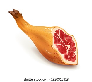 Jamon. Hamon. Cocina tradicional española. Carne. Pata de cerdo, aislada en fondo blanco. Ilustración vectorial Eps10.