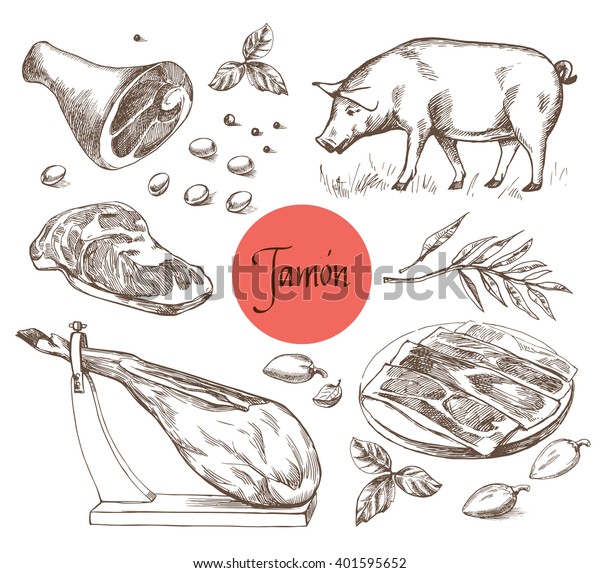 Jamon set. Black Iberian Pig, Jamon, Meat, beef\
dinner, raw steak, spice market  isolated. Vector illustration in\
Vintage engraving style. Perfect for menu illustration, label or\
sticker image.