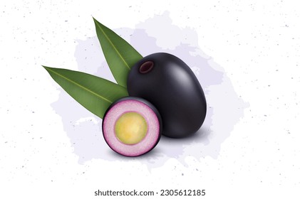 Jamun Fruit With half piece and green leaves of Jamun vector illustration