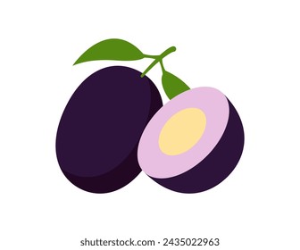 jamun fruit illustration for coloring book template, jamun fruit for kids worksheet printable