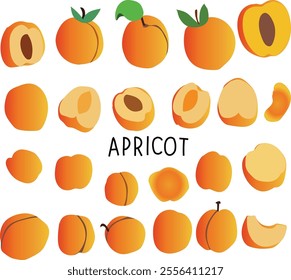 January 9 is National Apricot Day Vector illustration. Good for banner, poster, greeting card, party card, invitation, template, advertising, campaign, and social media.