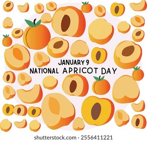 January 9 is National Apricot Day Vector illustration. Good for banner, poster, greeting card, party card, invitation, template, advertising, campaign, and social media.