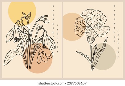  January Birth flower Snowdrop, Carnation wall art