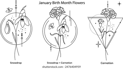 Ilustraciones con Formas geométricas, ramos botánicos, flores del mes de nacimiento de enero, flores de la línea de la gota de nieve y del clavel