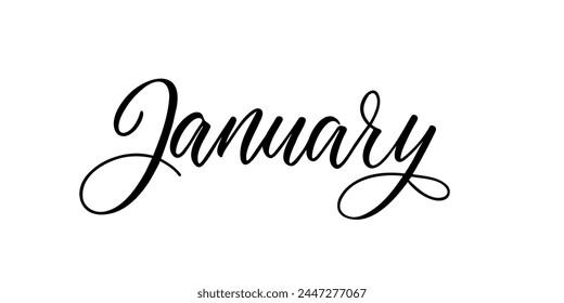 January - Handwritten inscription in calligraphic style on a white background. Vector illustration