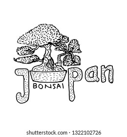 japan and bonsai - vector