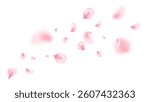 Japan flower background. Spring cherry blossom frame. Sakura petal flying composition. Cosmetic beauty product. Natural decoration. Pink rose. Spa frame. Valentine romantic card. Vector illustration.