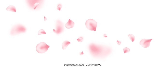 Japan flower background. Spring cherry blossom frame. Sakura petal flying composition. Cosmetic beauty product. Natural decoration. Pink rose. Spa frame. Valentine romantic card. Vector illustration.