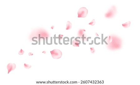 Japan flower background. Spring cherry blossom frame. Sakura petal flying composition. Cosmetic beauty product. Natural decoration. Pink rose. Spa frame. Valentine romantic card. Vector illustration.