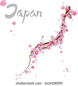 Japan map with pink cherry blossom, blooming flower. Japan lettering. Stock vector illustration isolated on white background.