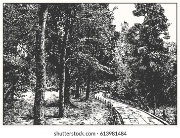 Japan park with trees and stepway. Black and white dashed style sketch, line art, drawing with pen and ink. Retro vintage picture.