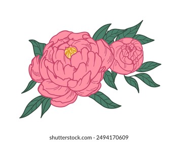 Japan peony flowers. Vintage botanical drawing, Japanese blooms. Floral blossoms, buds and leaves. Beautiful garden plant. Retro style hand-drawn vector illustration isolated on white background