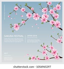 Japan Sakura Flower with Blooming Flowers Vector Illustration