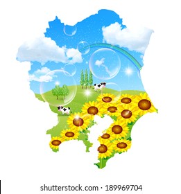 Japan sunflower ranch