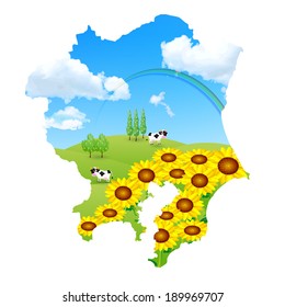 Japan sunflower ranch