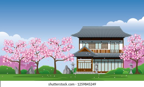 Japan Traditional House At Cherry Blossom Season