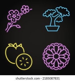 Japan traditional symbols neon icon set. Japanese sakura blossom, bonsai tree, persimmon fruit and chrysanthemum flower. Vector illustration.