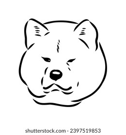 Japanese akita inu dog, vector outline illustration