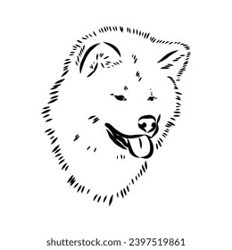 Japanese akita inu dog, vector outline illustration