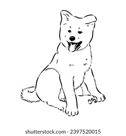 Japanese akita inu dog, vector outline illustration