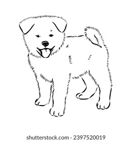 Perro akita inu japonés, ilustración de contorno vectorial