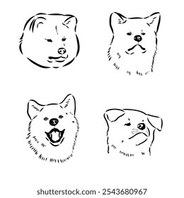 Japanese akita inu dog, vector outline illustration