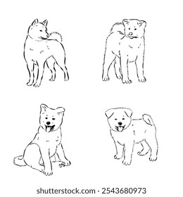 Japanese akita inu dog, vector outline illustration