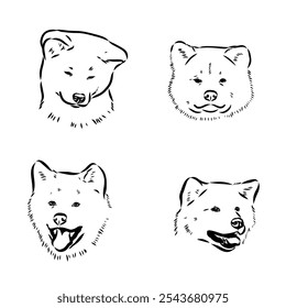 Perro japonés akita inu, ilustración de contorno de Vector