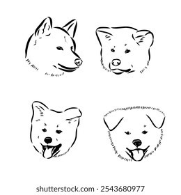 Japanese akita inu dog, vector outline illustration