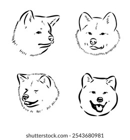 Japanese akita inu dog, vector outline illustration