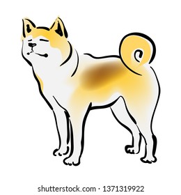 Japanese Akita Inu on white background. Brush touch style. Vector illustration.
