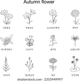 Japanese autumn flower pen drawing icon set.
The name of each flower is written in Japanese.