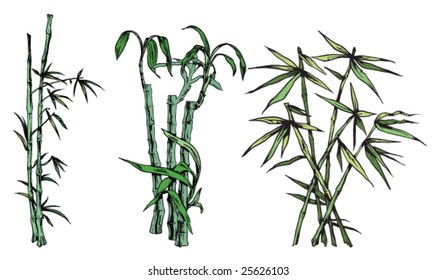 japanese bamboo