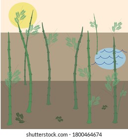 Japanese bamboo forest with a tiny lake