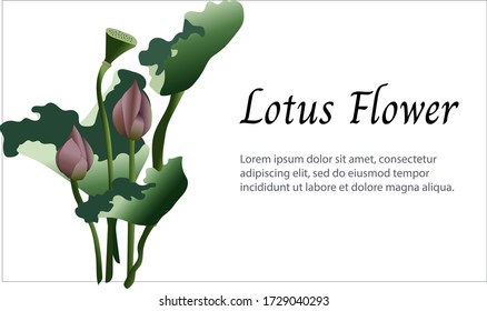 Japanese banner with lotus flower. Vector realistic illustration of a green flower with a gradient. Poster for presentation, greeting card and advertising.