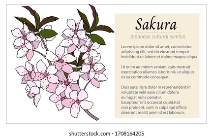 Japanese banner with sakura. Vector hand-drawn illustration for information flyers, presentations, postcards and travel posters.