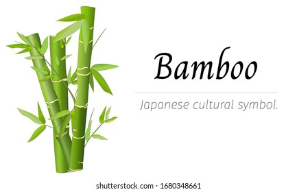 Japanese banner for text with bamboo. Vector illustration on a white background.