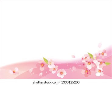 Japanese beautiful cherry background material