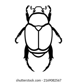 Japanese Beetle, Popillia japonica. Vector illustration of an insect on a transparent background