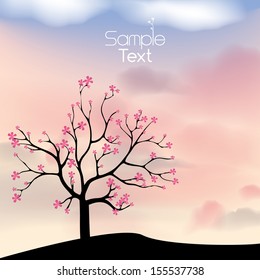 Japanese Blossoming Cherry Tree with Sunset Background and Soft Clouds  -Vector Illustration