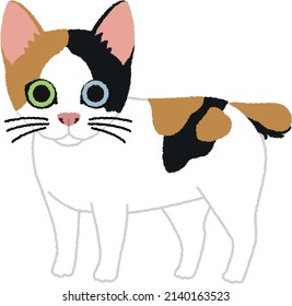 The Japanese Bobtail is a breed of cat with an unusual 'bobbed' tail more closely resembling the tail of a rabbit than that of an ordinary feline. 