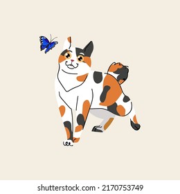 Japanese bobtail cat with butterfly isolated on beige background. Domestic animal character vector flat illustration