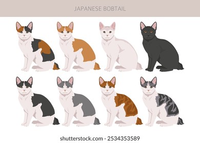 Japanese bobtail cat clipart. All cat breeds characteristics infographic. Vector illustration