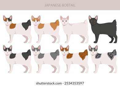 Japanese bobtail cat clipart. All cat breeds characteristics infographic. Vector illustration