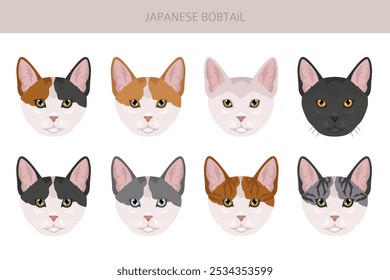 Japanese bobtail cat clipart. All cat breeds characteristics infographic. Vector illustration