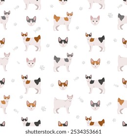 Japanese bobtail cat seamless pattern. All cat breeds characteristics infographic. Vector illustration