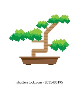 japanese bonsai plant cultural icon