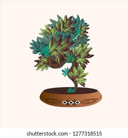 Japanese Bonsai Tree